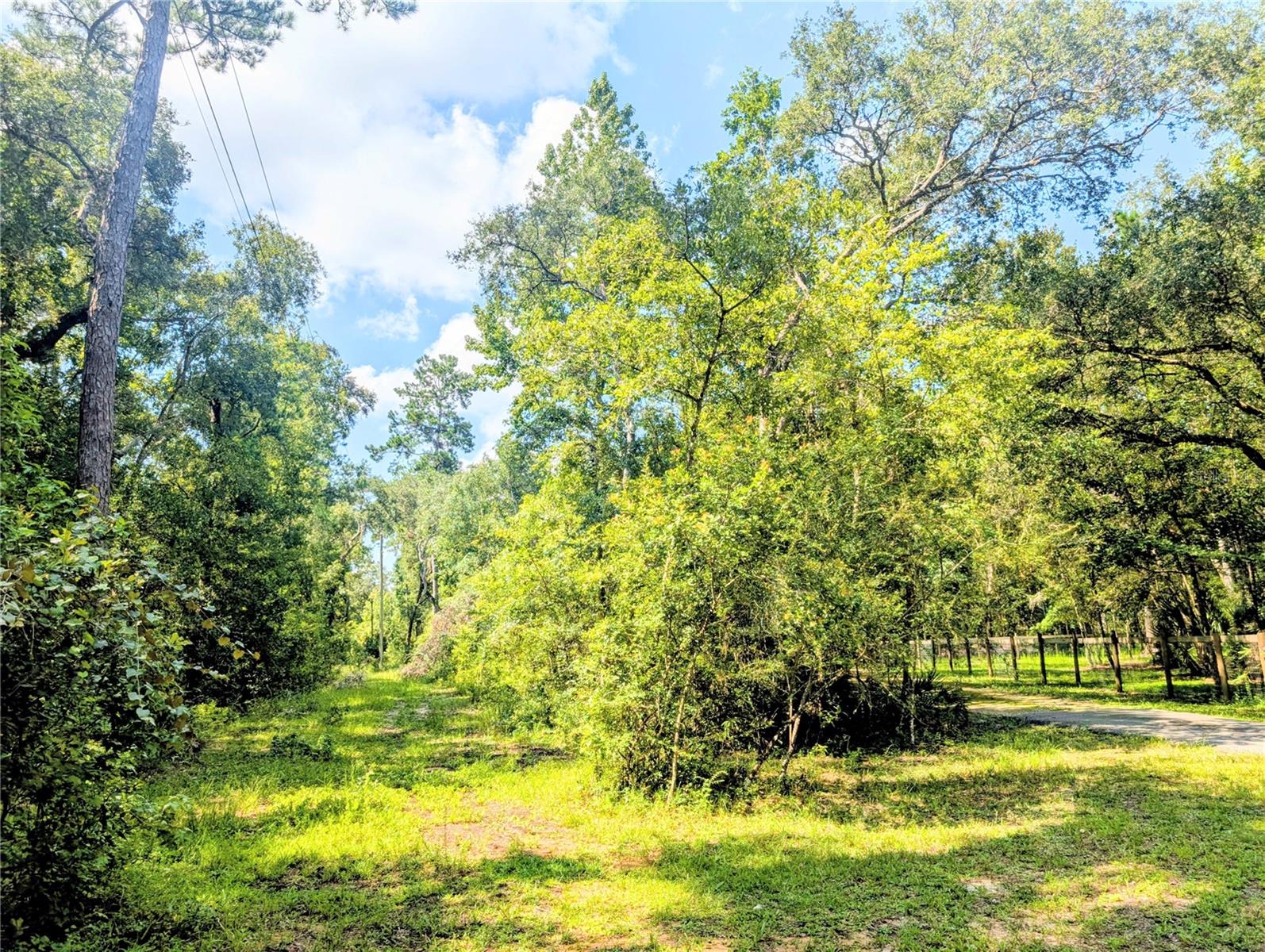 19555 PHILLIPS RD, BROOKSVILLE, FL, 34604