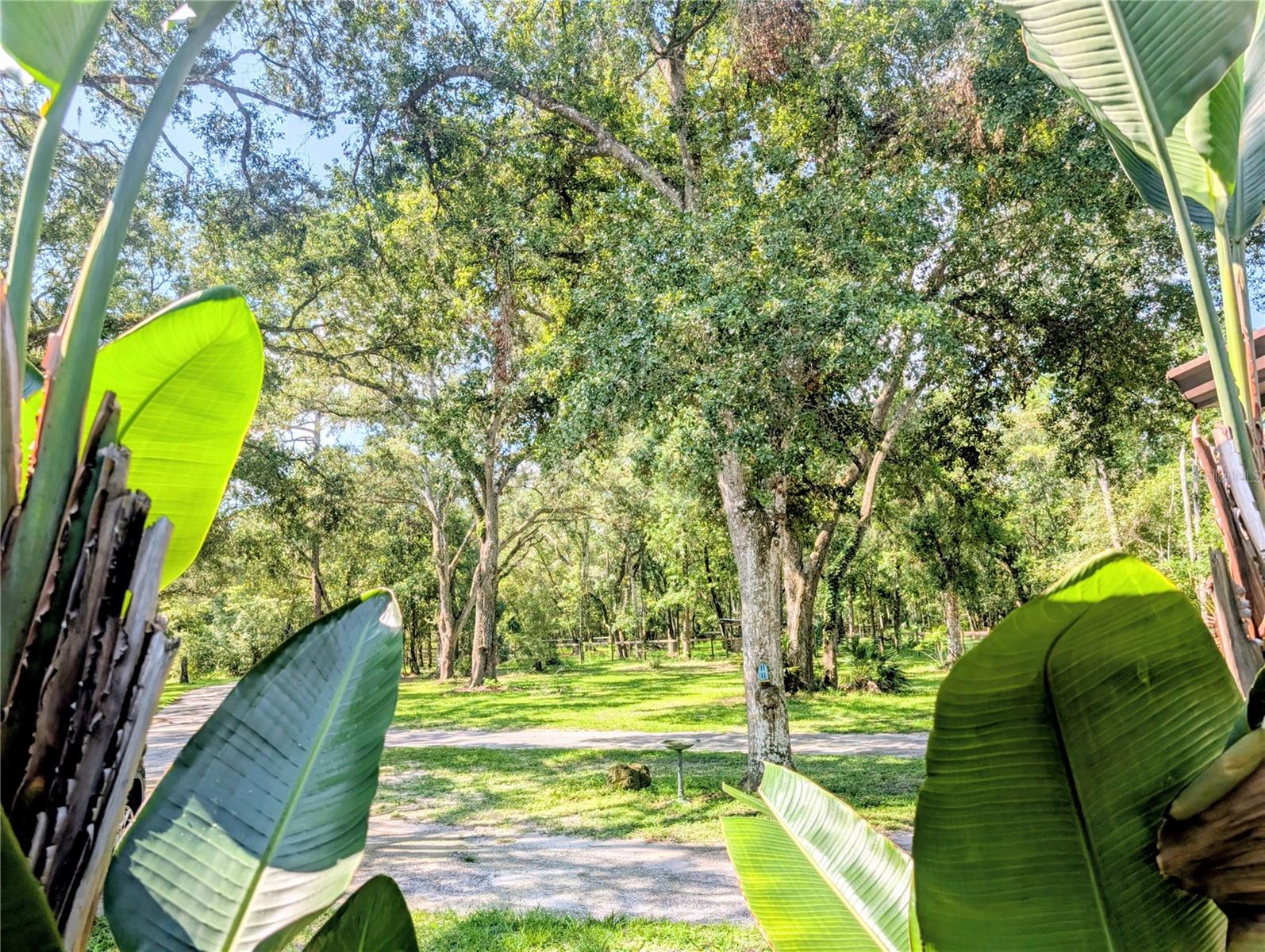 19555 PHILLIPS RD, BROOKSVILLE, FL, 34604