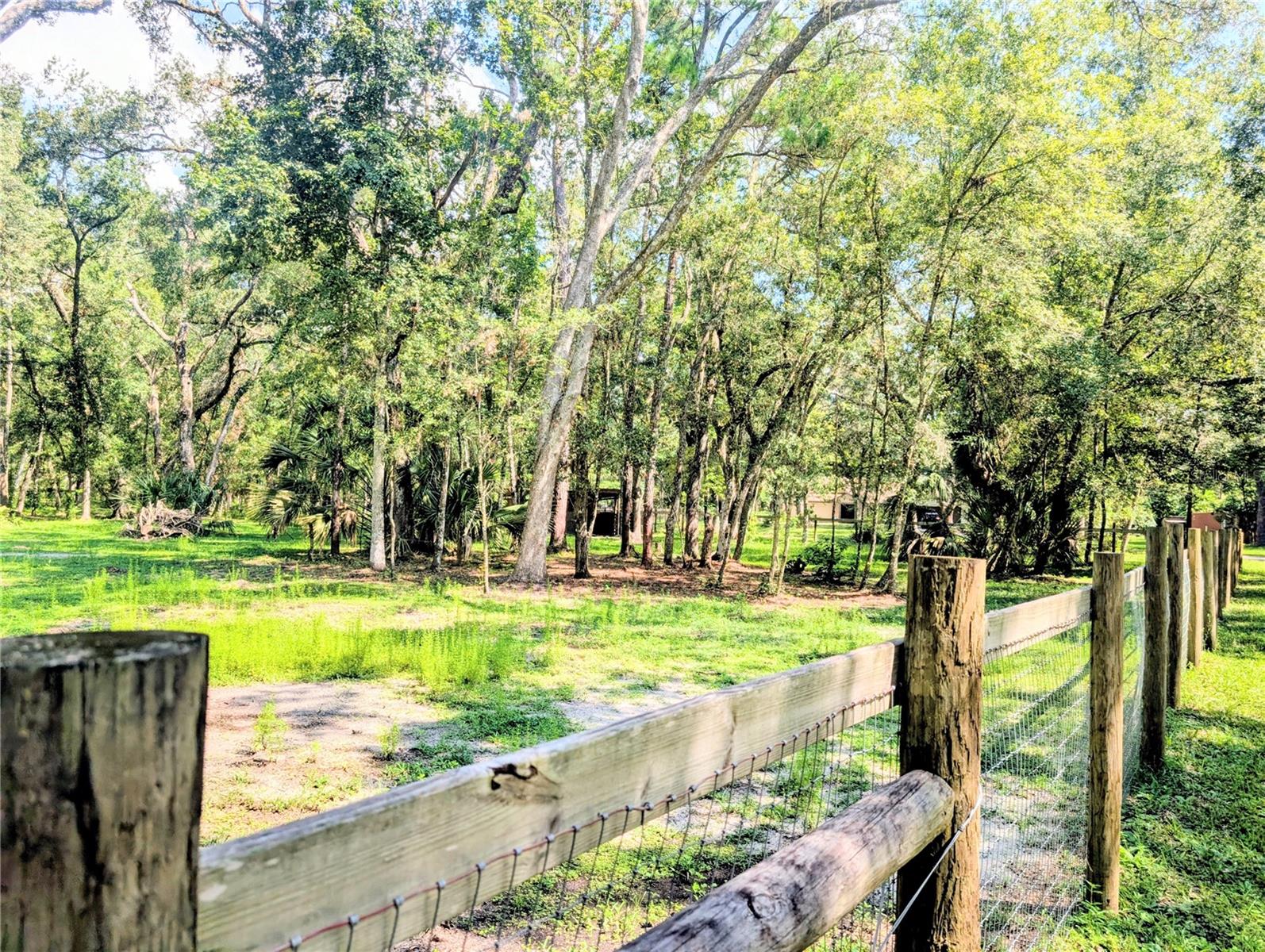 19555 PHILLIPS RD, BROOKSVILLE, FL, 34604