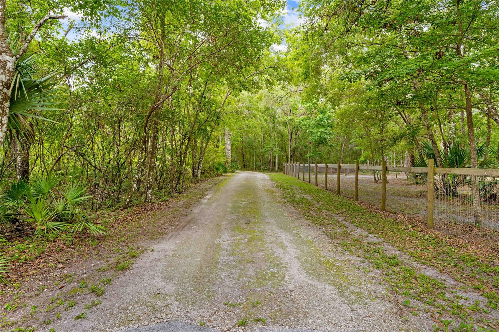 19555 PHILLIPS RD, BROOKSVILLE, FL, 34604