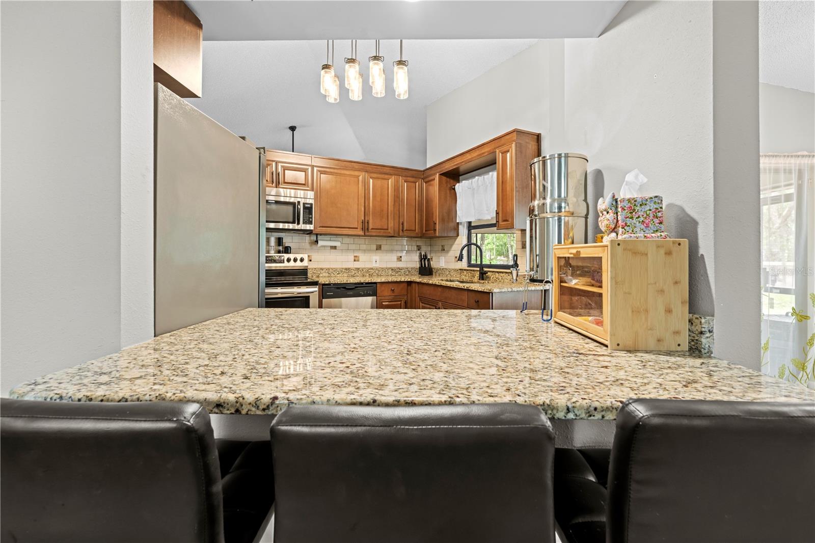 19555 PHILLIPS RD, BROOKSVILLE, FL, 34604