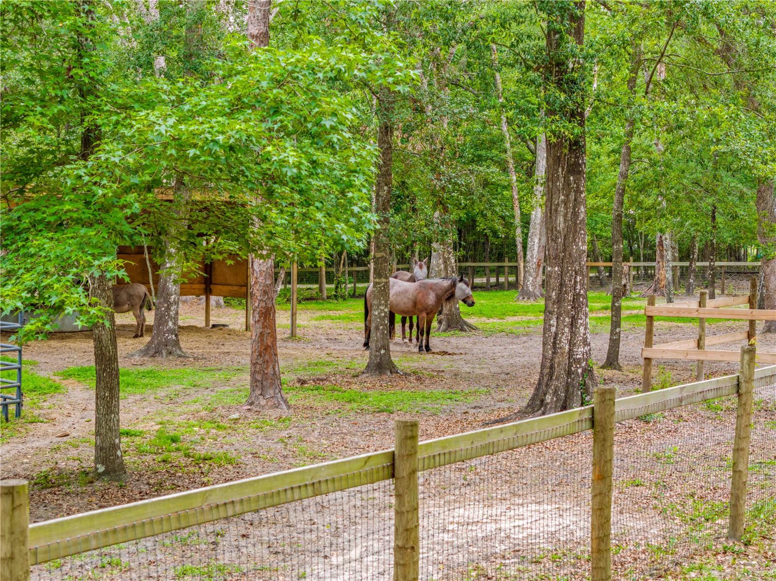 19555 PHILLIPS RD, BROOKSVILLE, FL, 34604