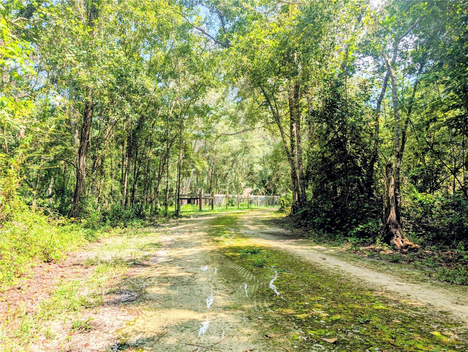 19555 PHILLIPS RD, BROOKSVILLE, FL, 34604