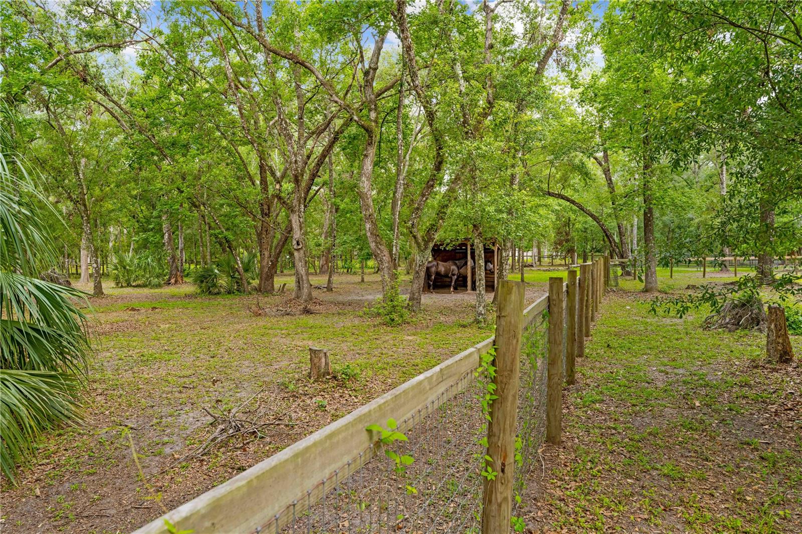 19555 PHILLIPS RD, BROOKSVILLE, FL, 34604