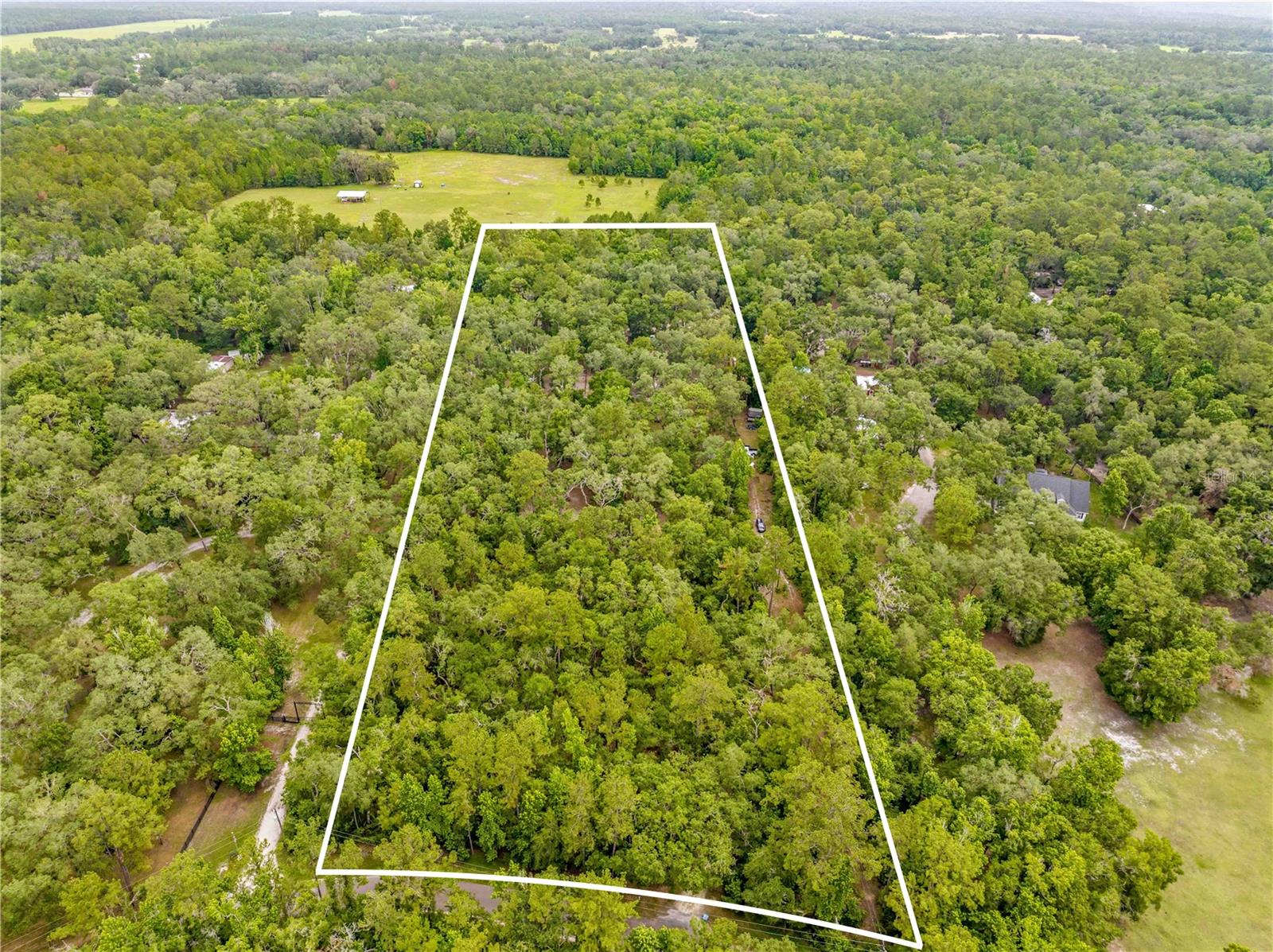 19555 PHILLIPS RD, BROOKSVILLE, FL, 34604