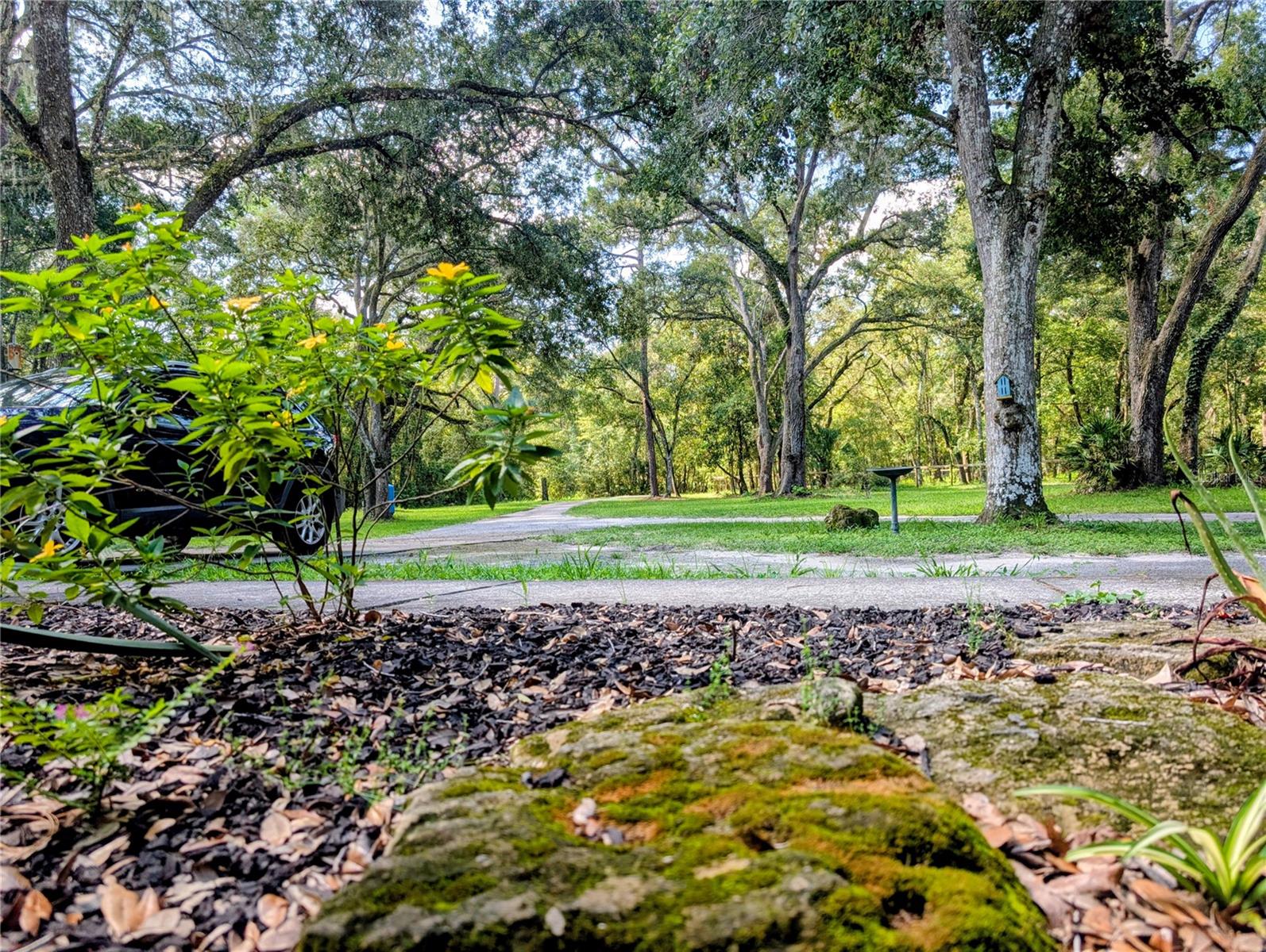 19555 PHILLIPS RD, BROOKSVILLE, FL, 34604