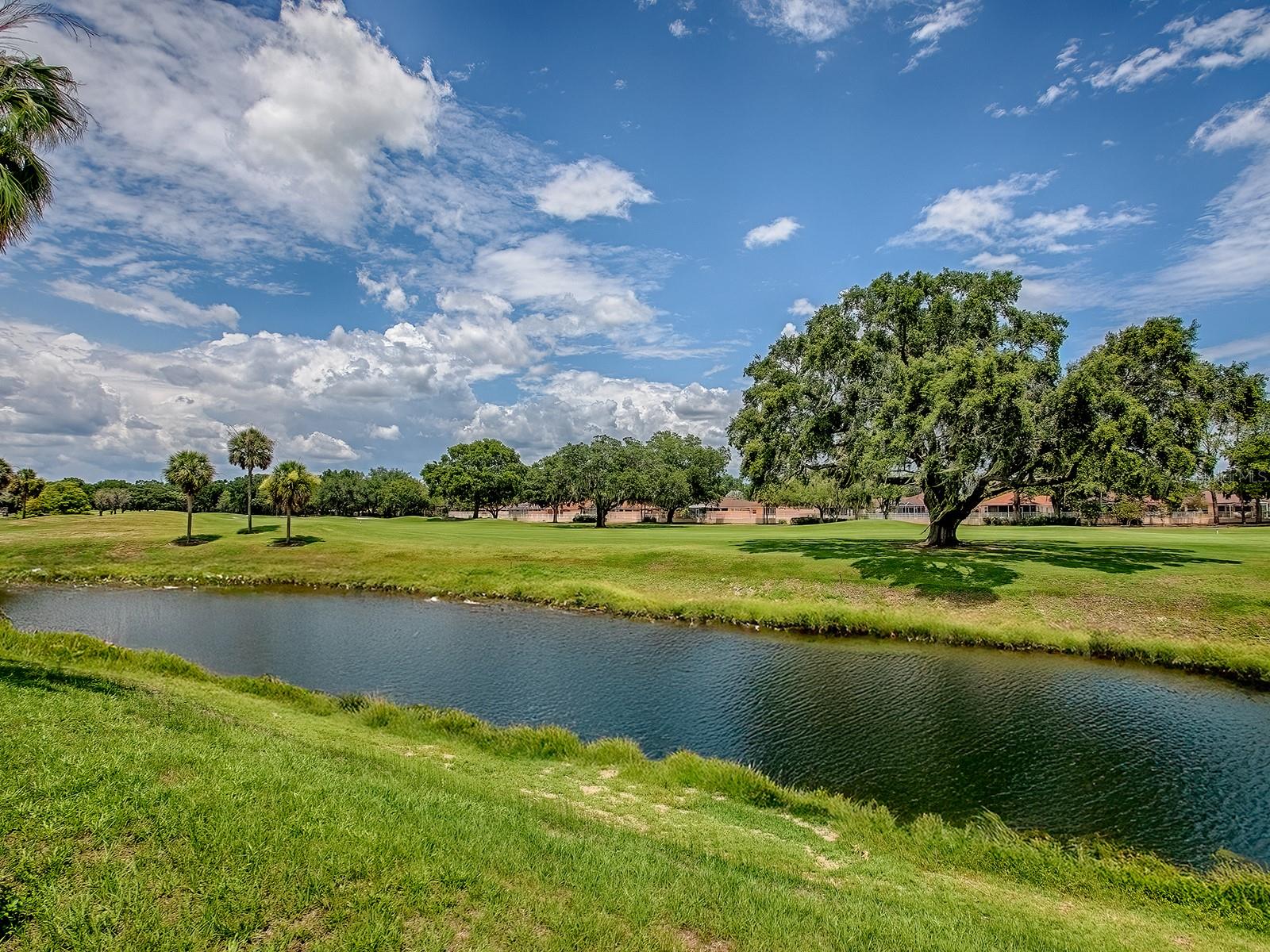 903 SANTA ANNA LN, THE VILLAGES, FL, 32159