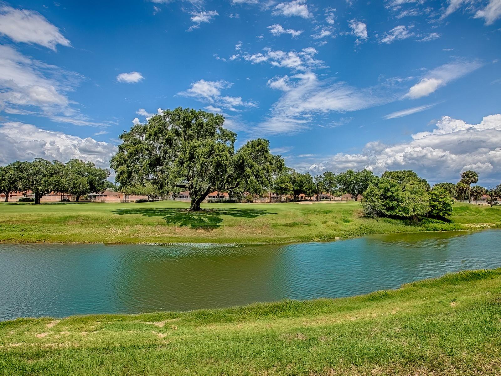 903 SANTA ANNA LN, THE VILLAGES, FL, 32159