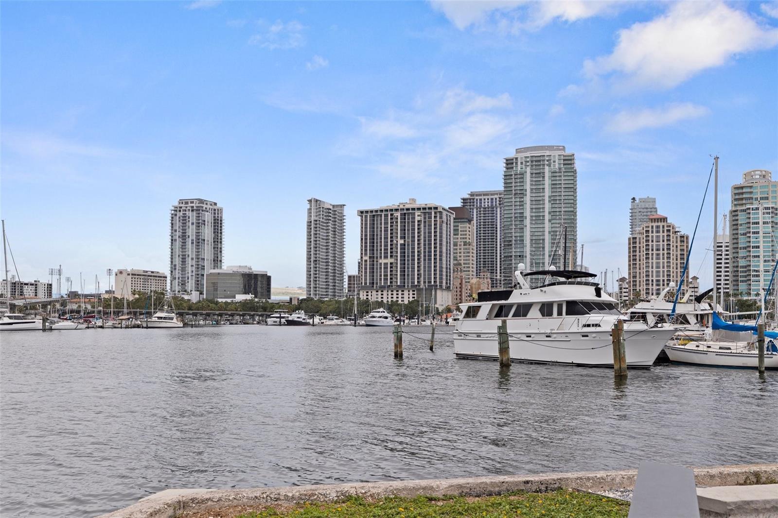 View of Bayfront Tower in St. Pete Skyline