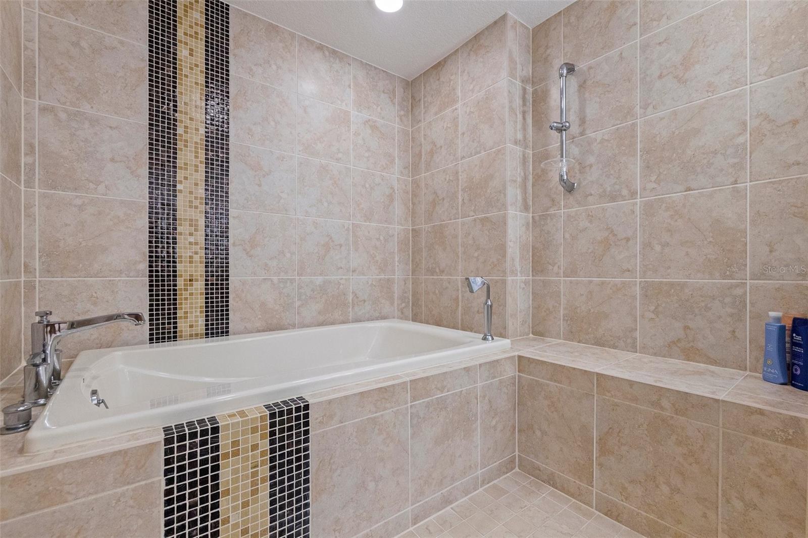 Primary Bathroom Walk-in Shower and Bathtub
