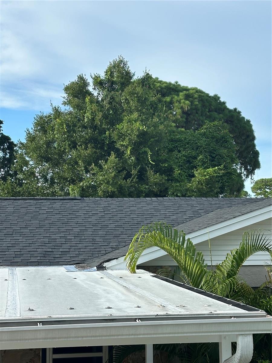 7503 WINCHESTER DR, TAMPA, FL, 33615