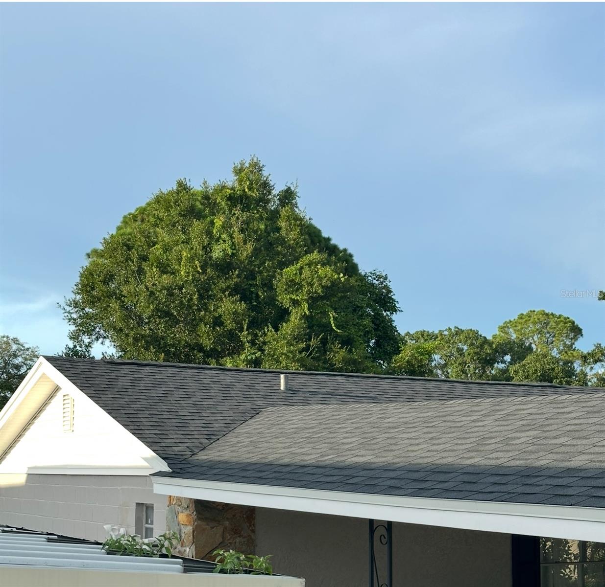 7503 WINCHESTER DR, TAMPA, FL, 33615