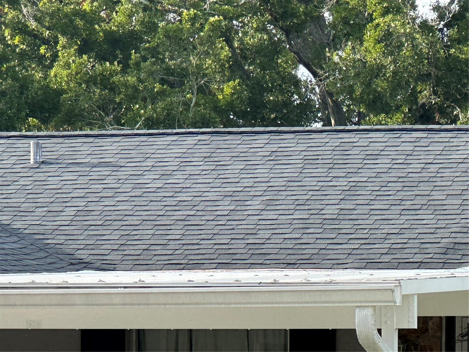 7503 WINCHESTER DR, TAMPA, FL, 33615