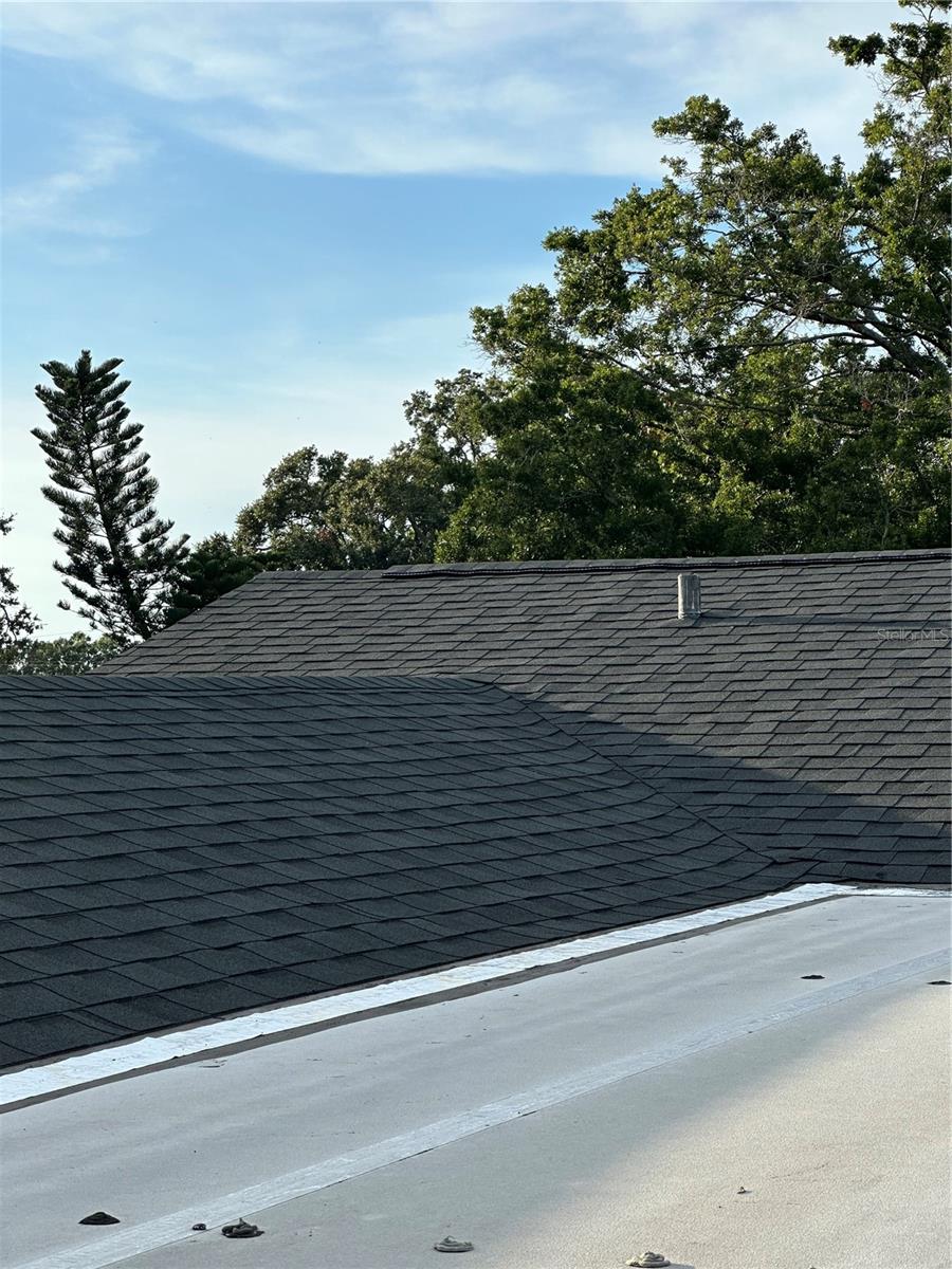 7503 WINCHESTER DR, TAMPA, FL, 33615