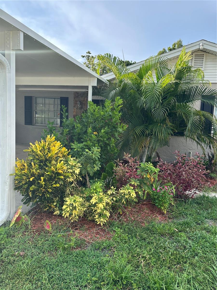 7503 WINCHESTER DR, TAMPA, FL, 33615