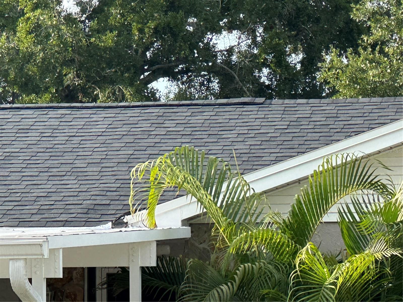 7503 WINCHESTER DR, TAMPA, FL, 33615