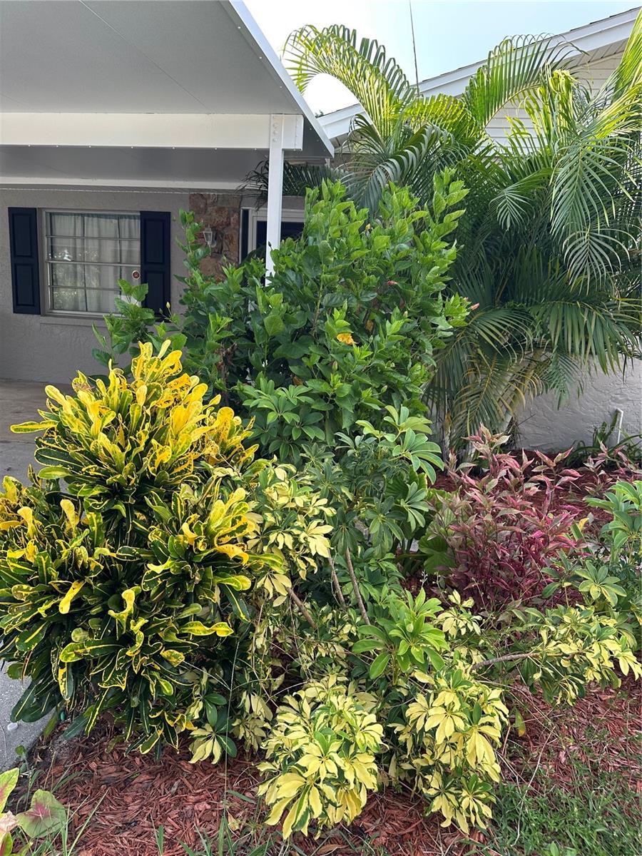 7503 WINCHESTER DR, TAMPA, FL, 33615