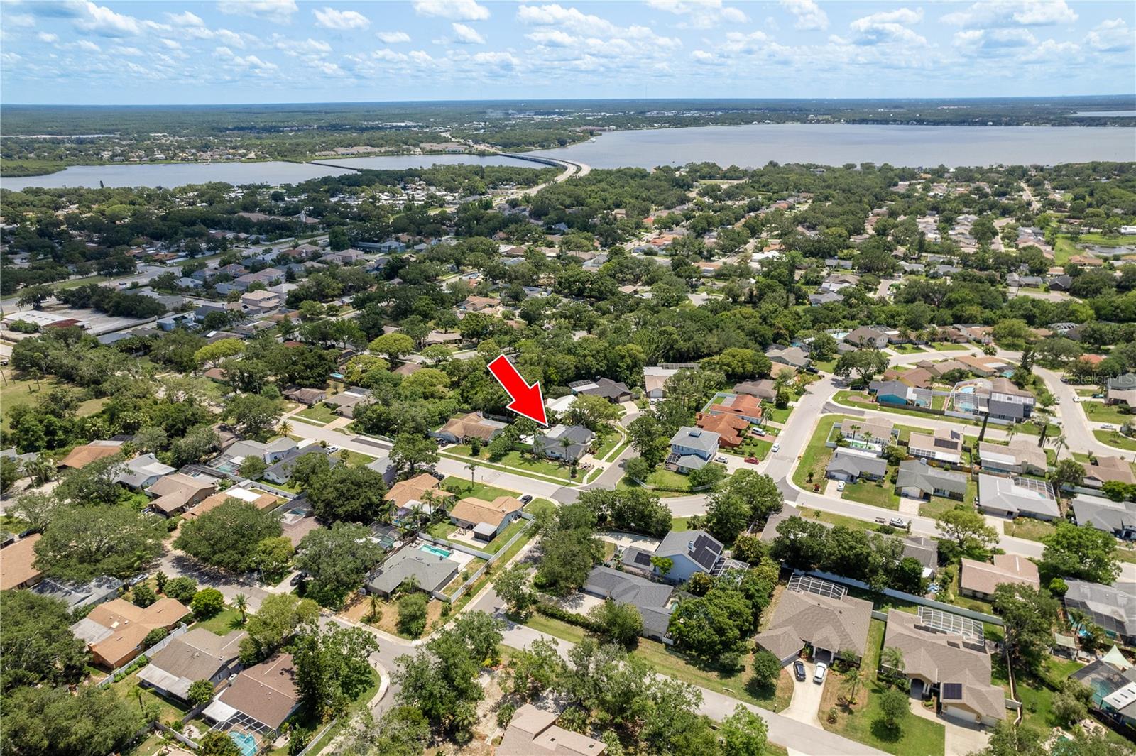 1 MANDARIN TER, SAFETY HARBOR, FL, 34695