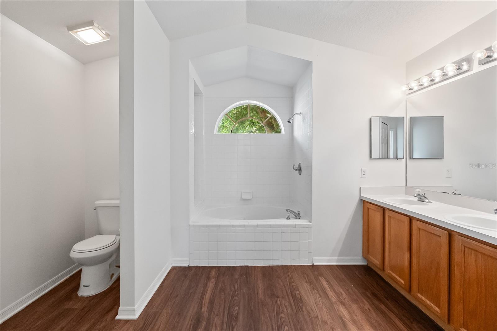 294 LAKE DOE BLVD, APOPKA, FL, 32703