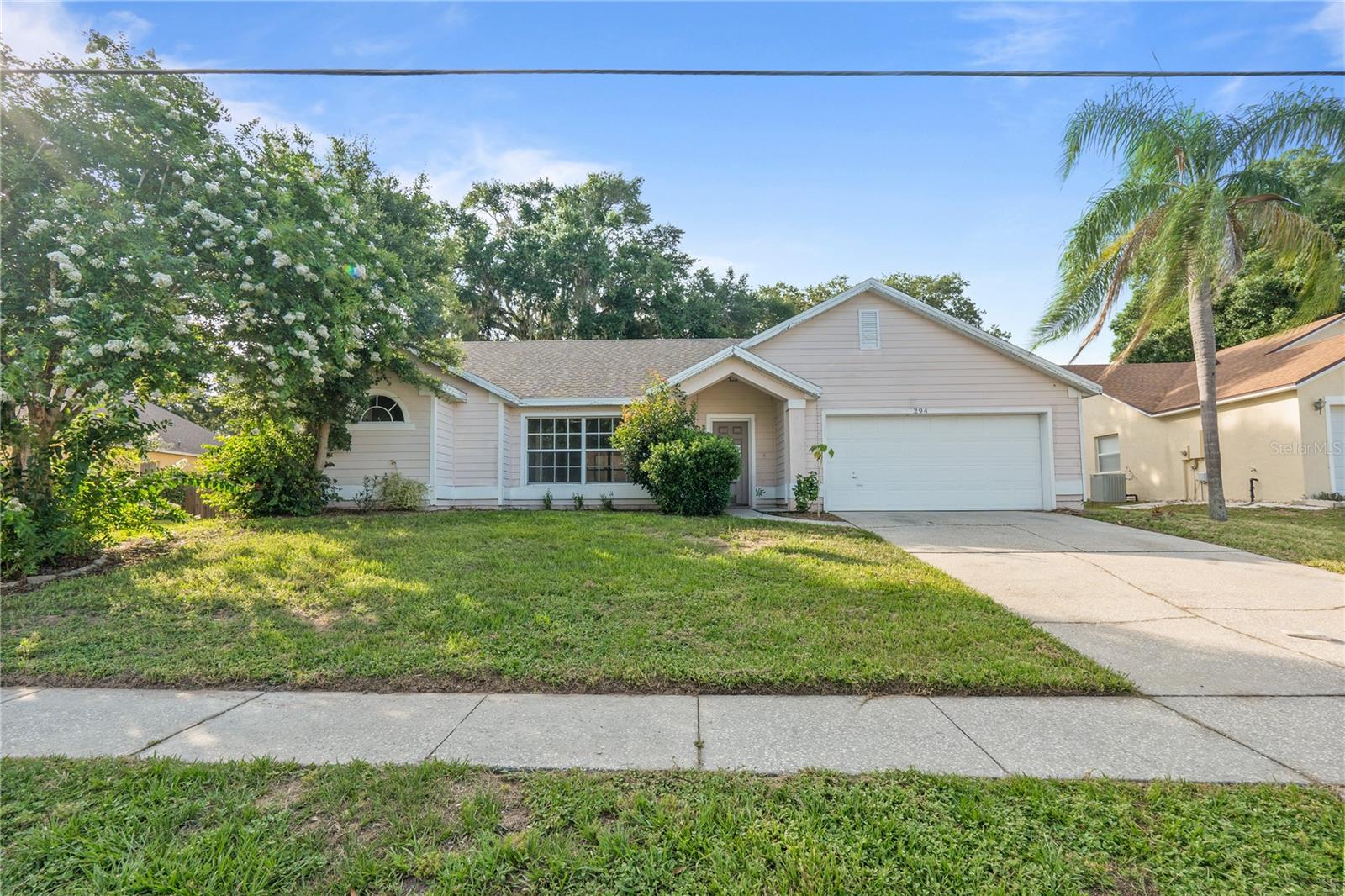 294 LAKE DOE BLVD, APOPKA, FL, 32703