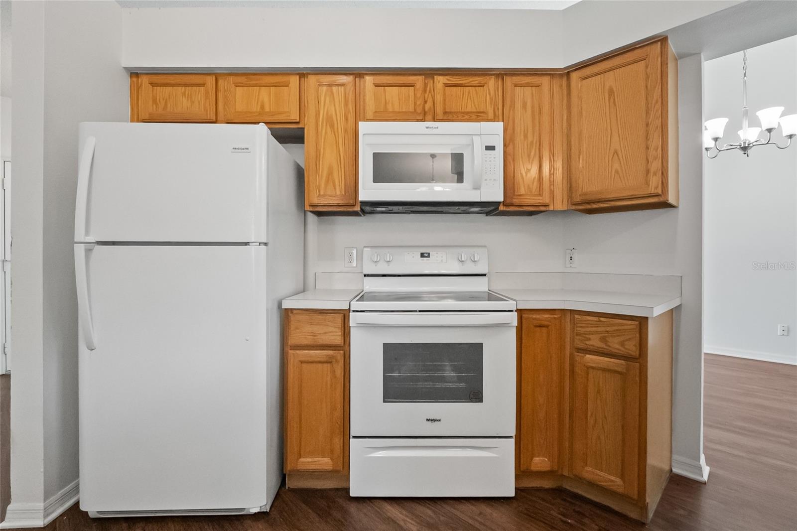 294 LAKE DOE BLVD, APOPKA, FL, 32703