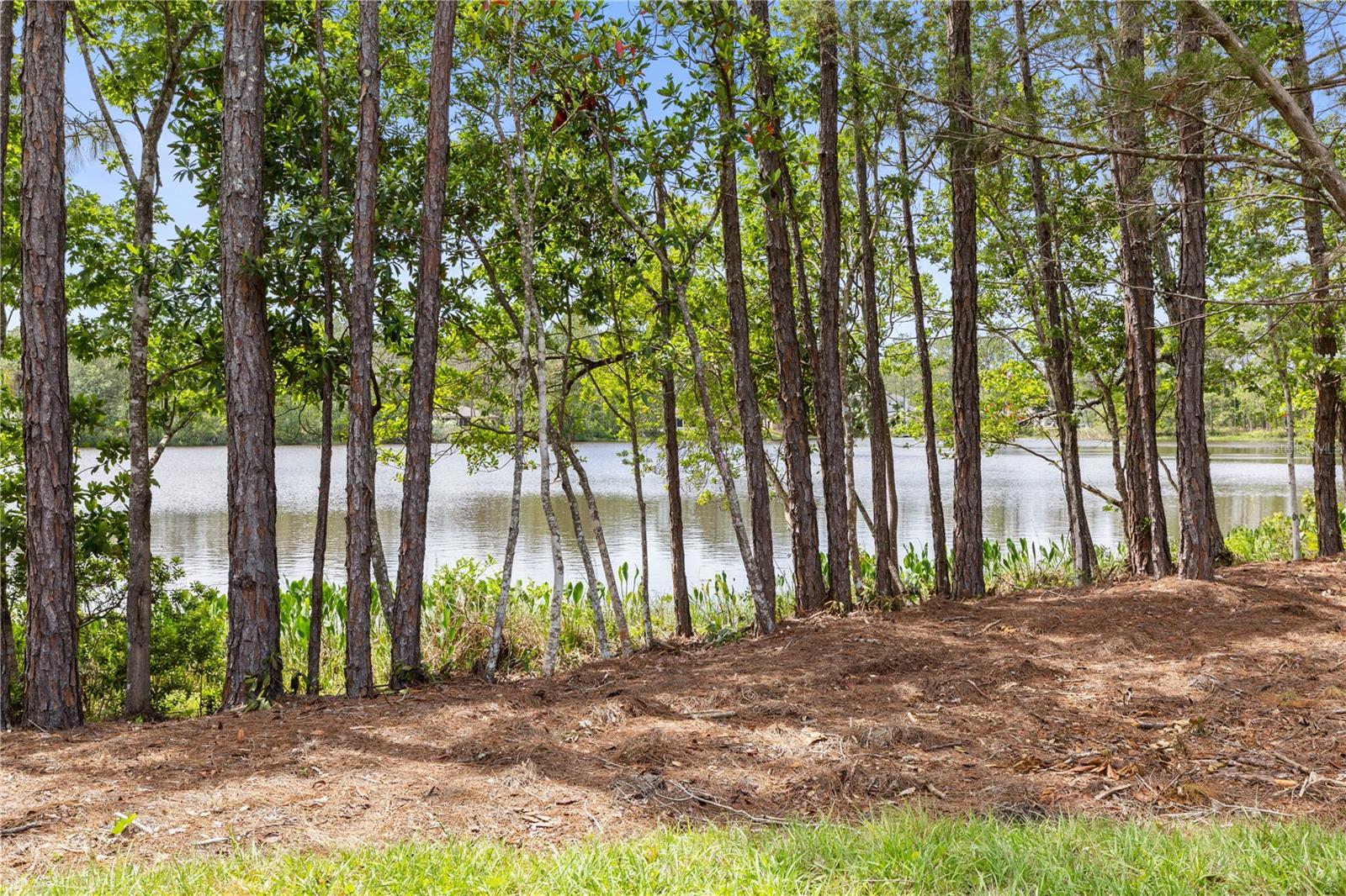 9 KALORAMA CT, PALM COAST, FL, 32164