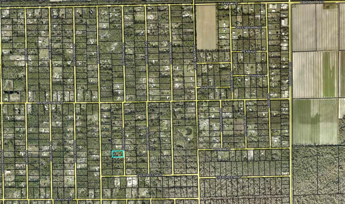 1760 BERRYBUSH ST, BUNNELL, FL, 32110