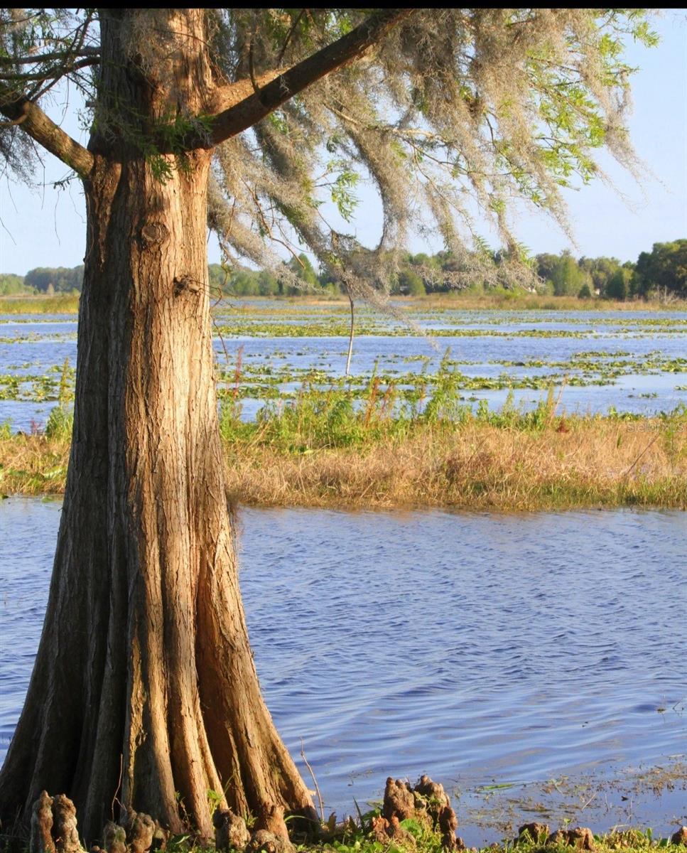 4195 S SPANIEL TRL, INVERNESS, FL, 34450