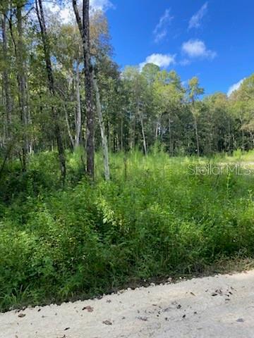 TBD, OCALA, FL, 34481