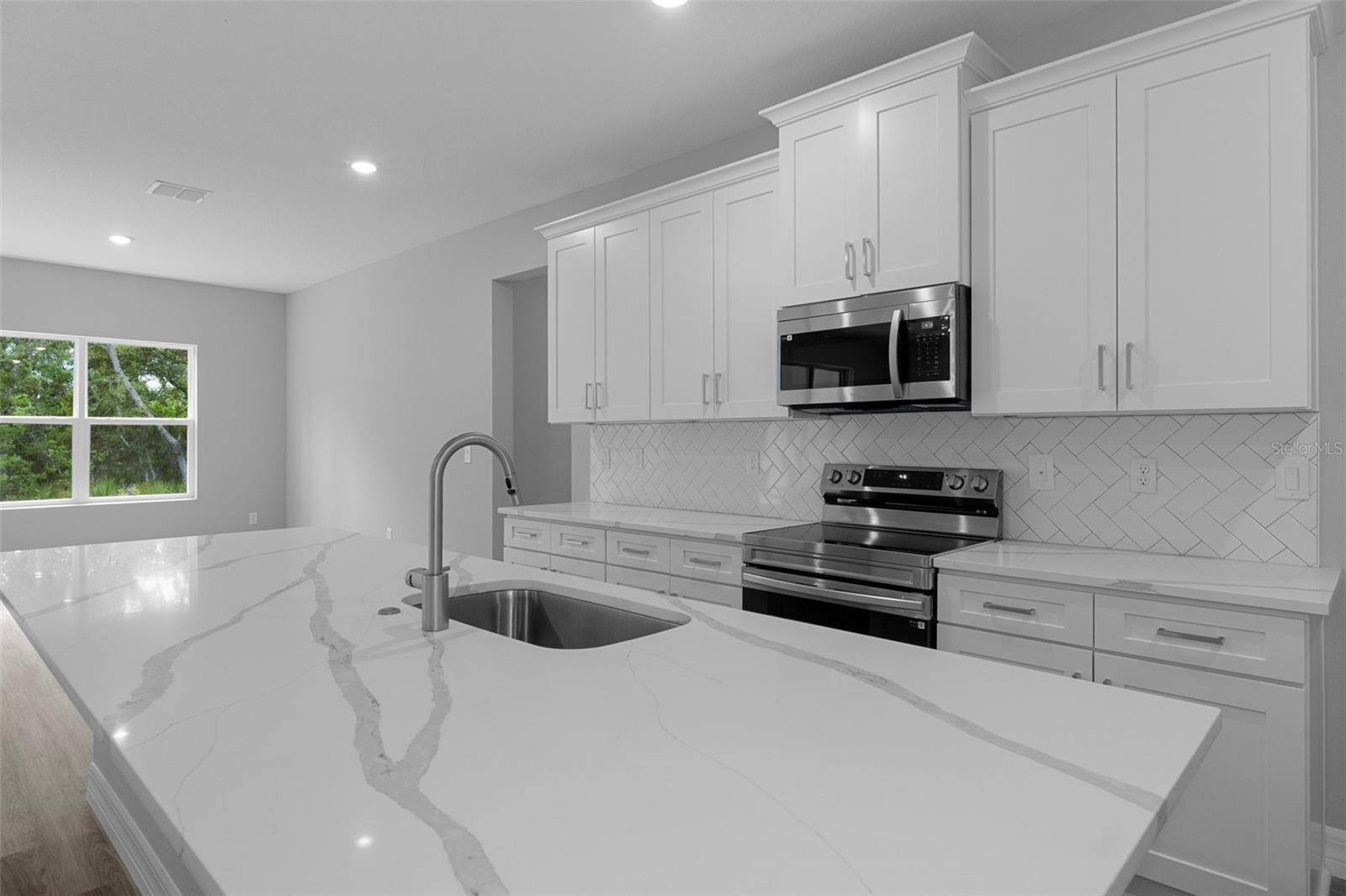 43 BELLS OF IRELAND CT, HOMOSASSA, FL, 34446