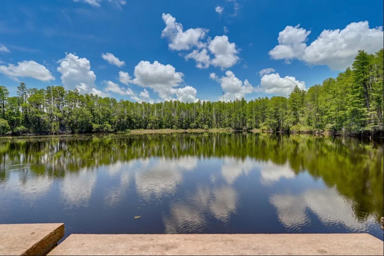 TB8393455 Property Photo