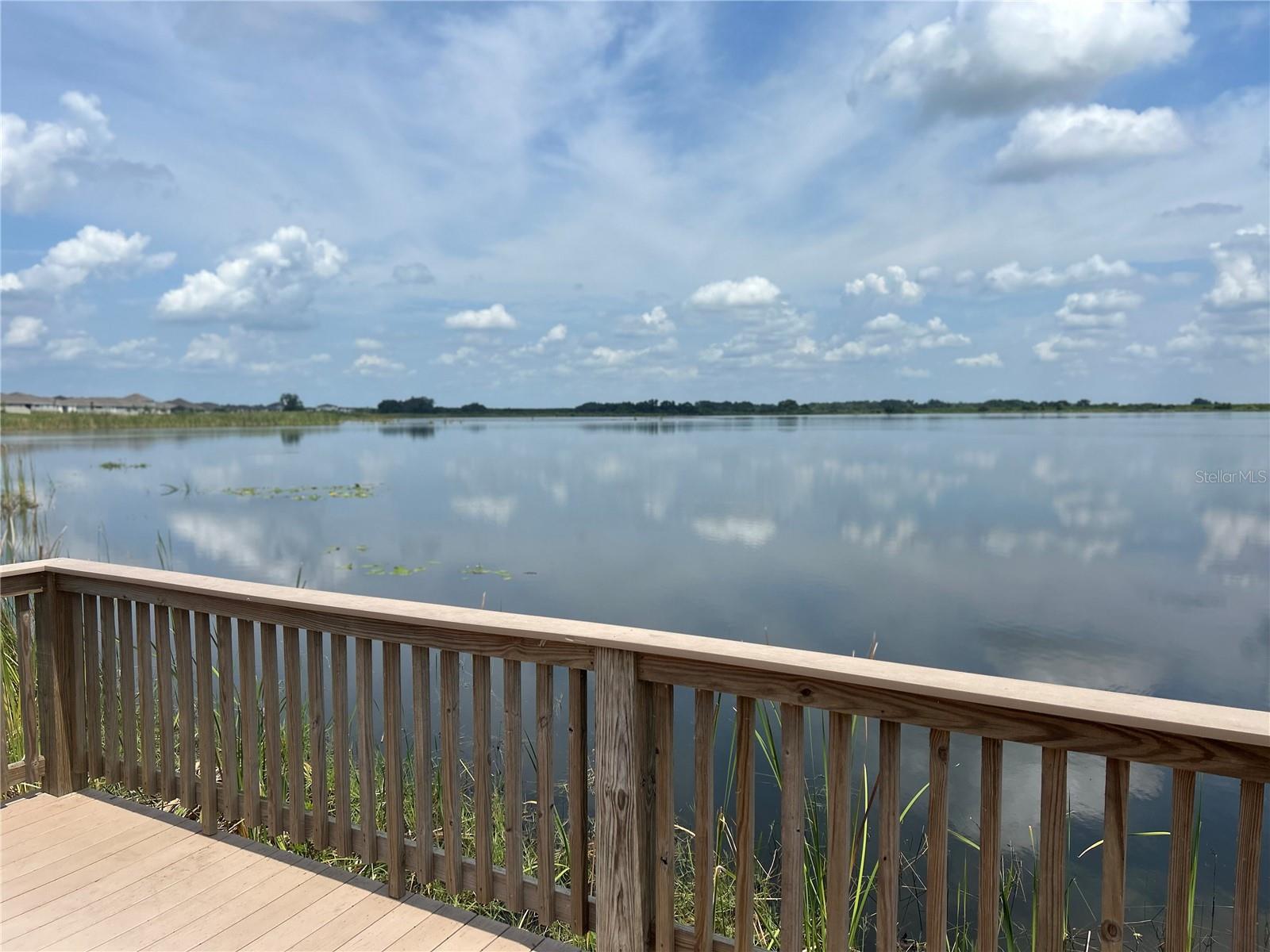 1345 HANOVERIAN AVE, LAKE ALFRED, FL, 33850