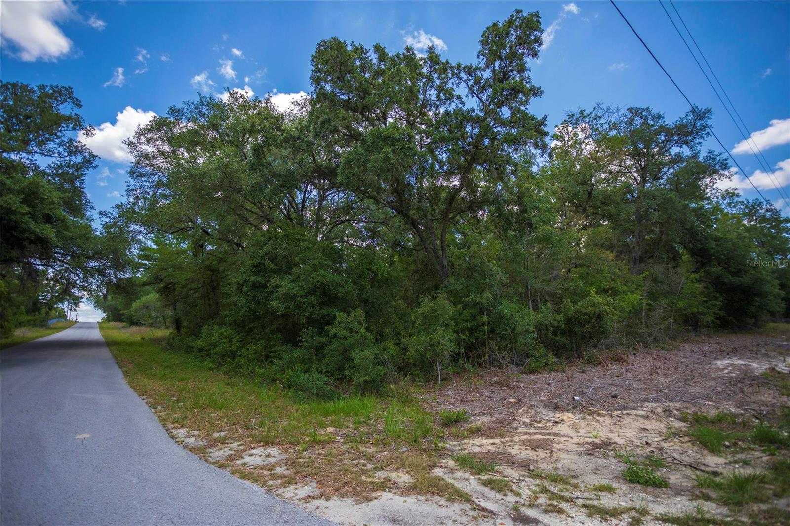 SW WINDING HILLS RD, DUNNELLON, FL, 34431