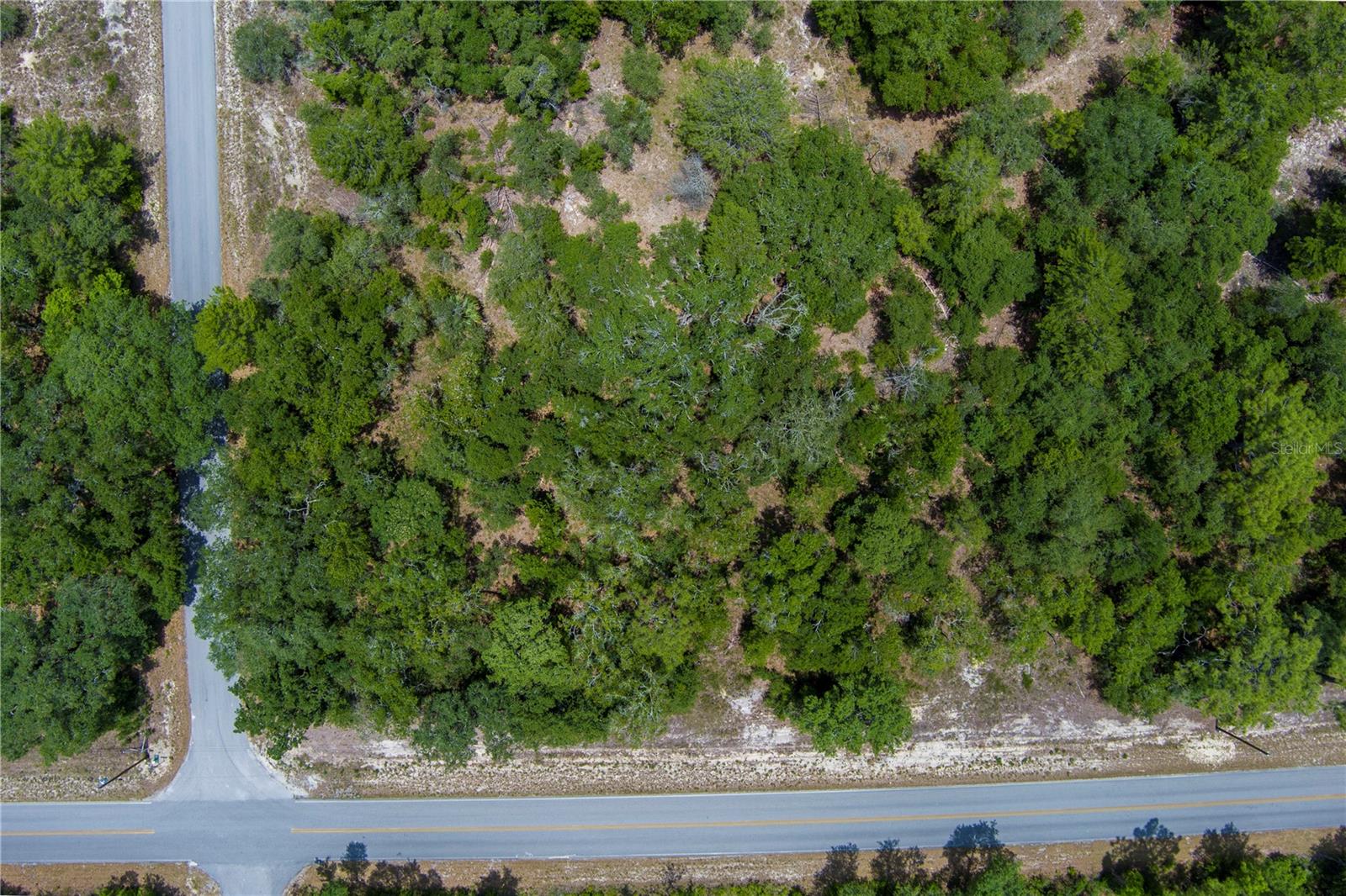 SW WINDING HILLS RD, DUNNELLON, FL, 34431