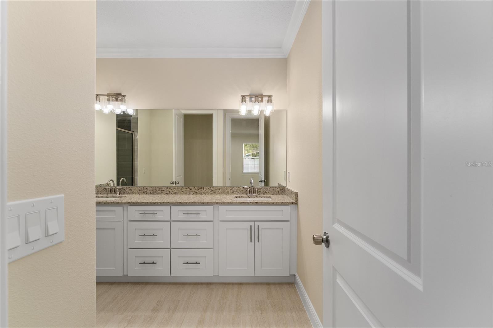 16357 SE 88TH CT, SUMMERFIELD, FL, 34491