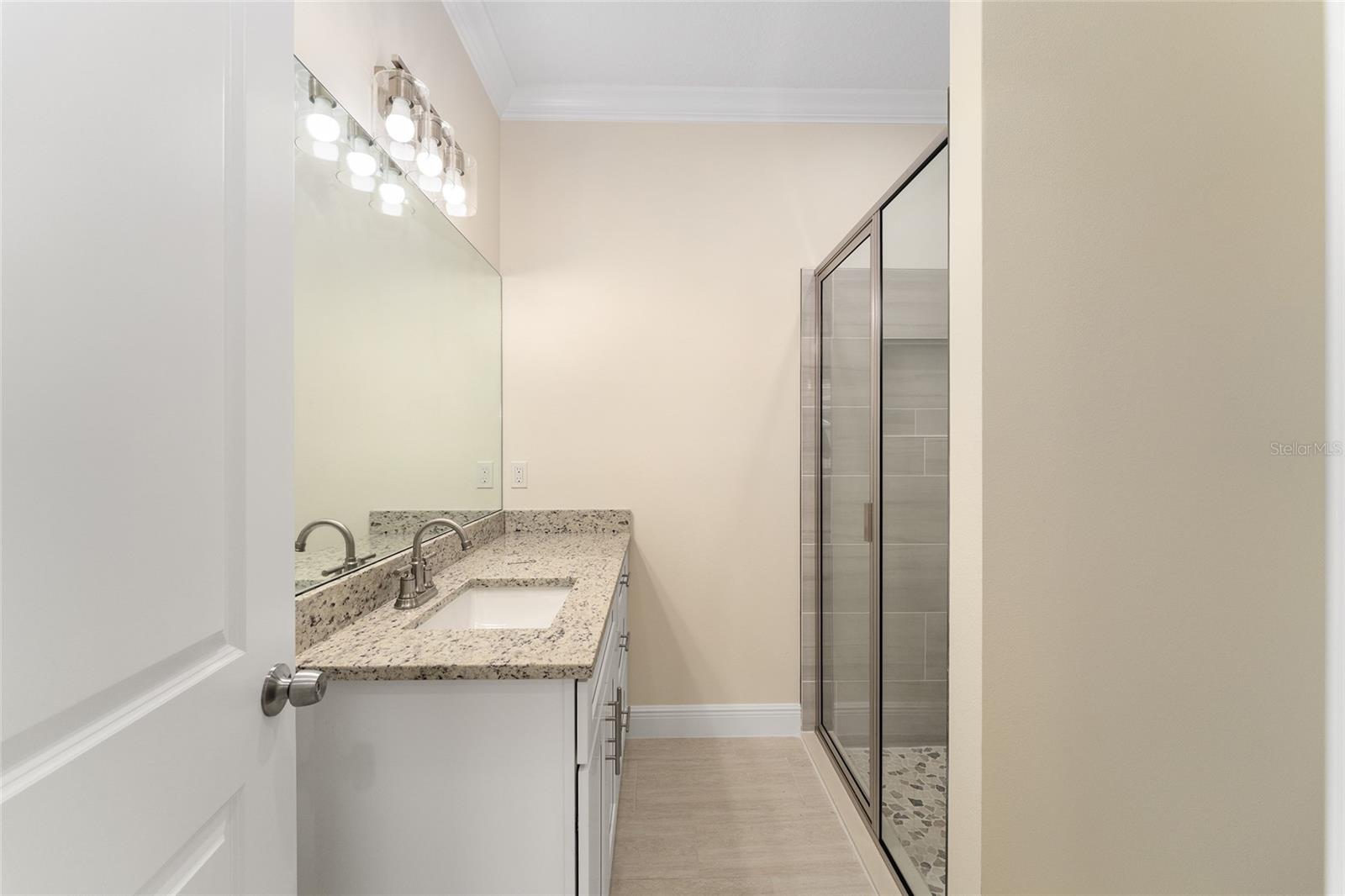 16357 SE 88TH CT, SUMMERFIELD, FL, 34491