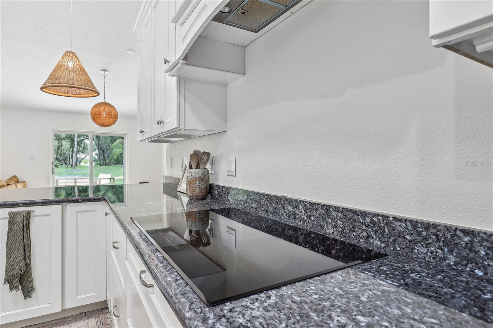 33943 E LAKE JOANNA DR, EUSTIS, FL, 32736