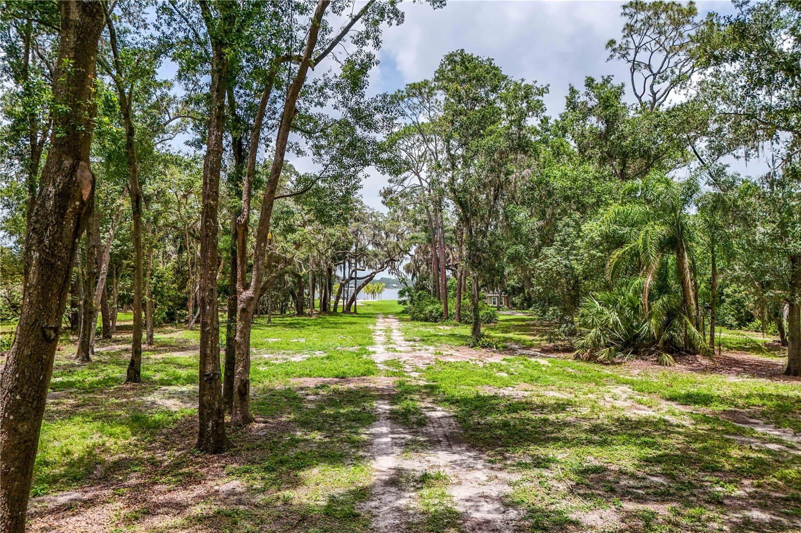 33943 E LAKE JOANNA DR, EUSTIS, FL, 32736