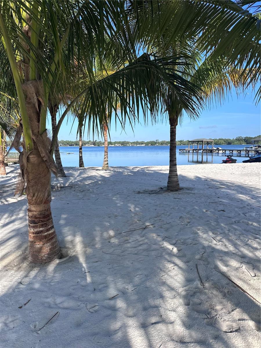 33943 E LAKE JOANNA DR, EUSTIS, FL, 32736