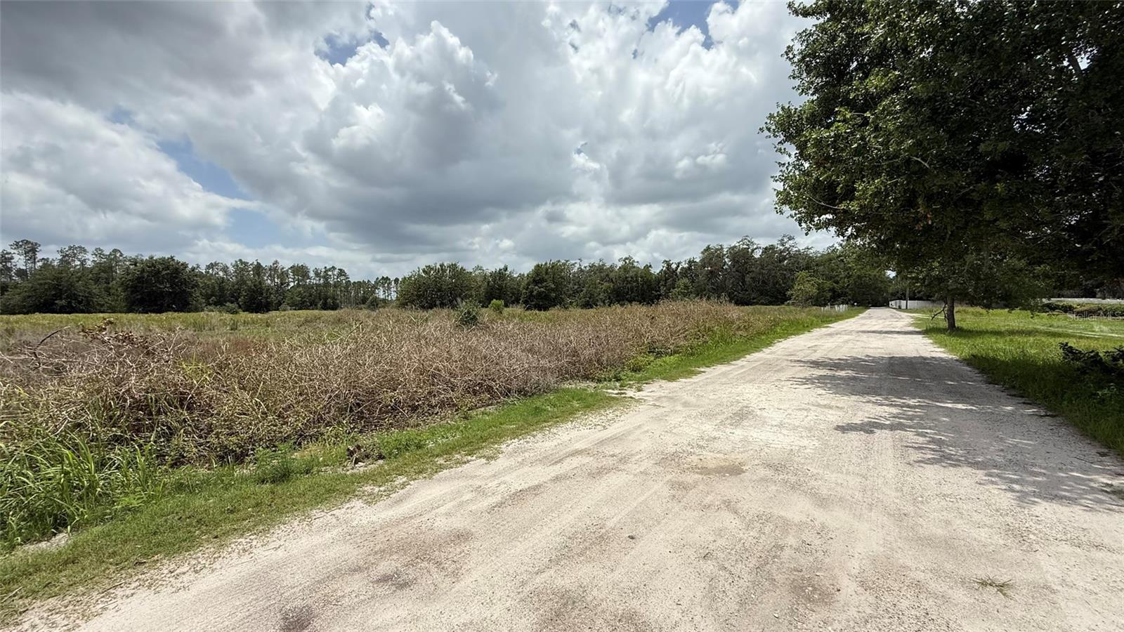 WELLS, WESLEY CHAPEL, FL, 33545