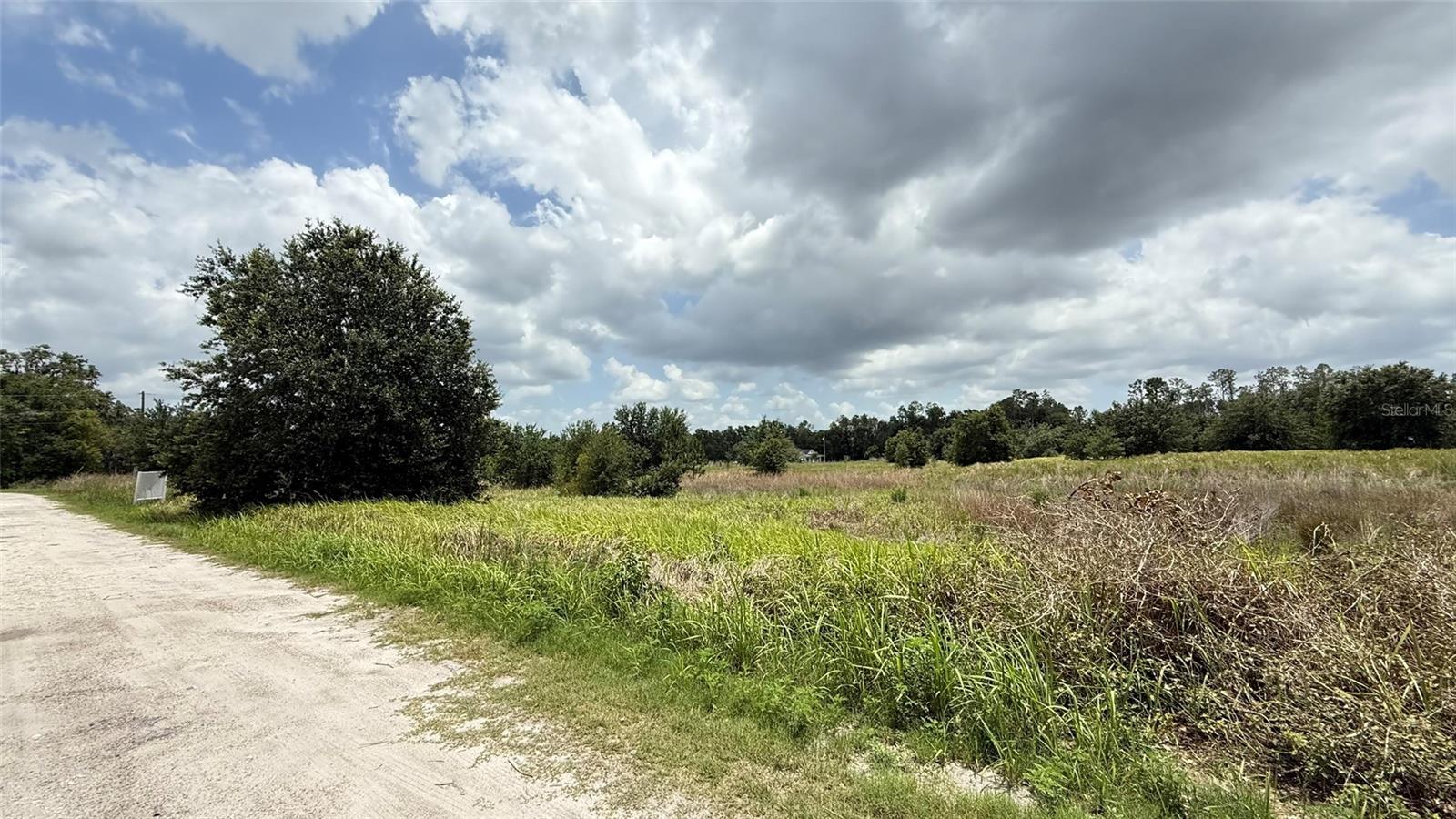 WELLS, WESLEY CHAPEL, FL, 33545