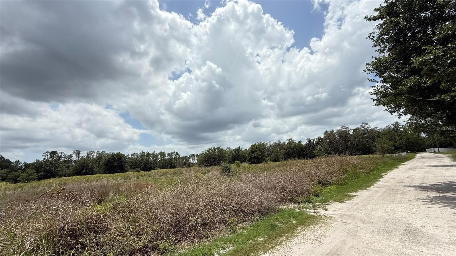 WELLS, WESLEY CHAPEL, FL, 33545