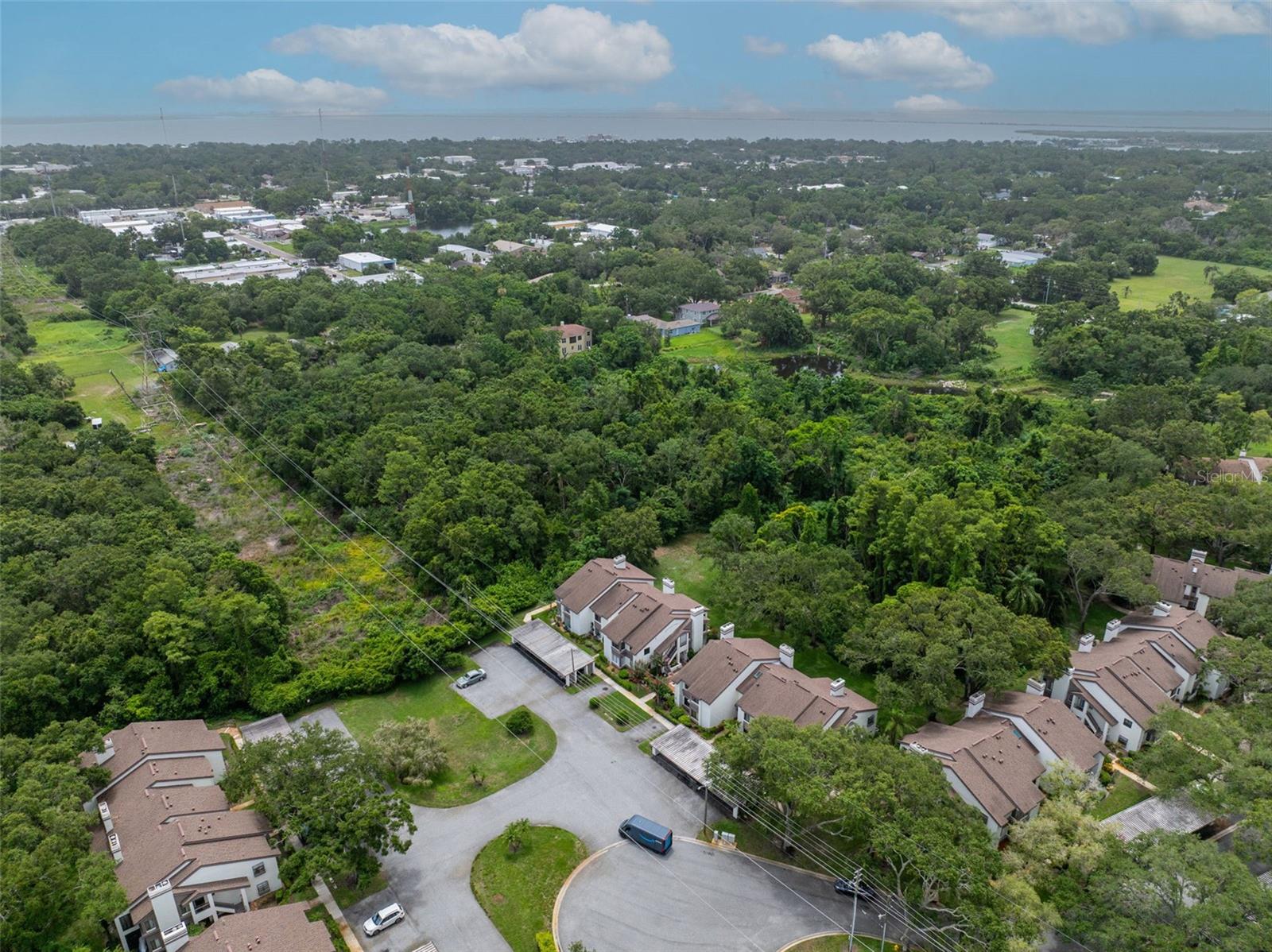 1712 LAKE CYPRESS DR #1604, SAFETY HARBOR, FL, 34695