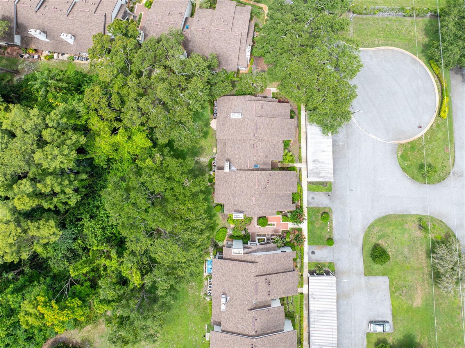 1712 LAKE CYPRESS DR #1604, SAFETY HARBOR, FL, 34695