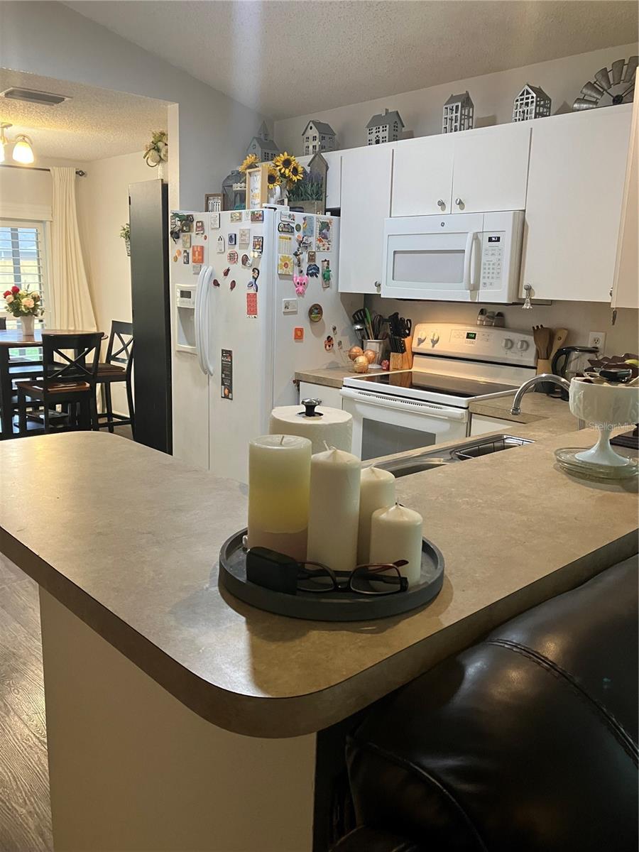 6905 SUMMER HARBOR LN, RIVERVIEW, FL, 33578