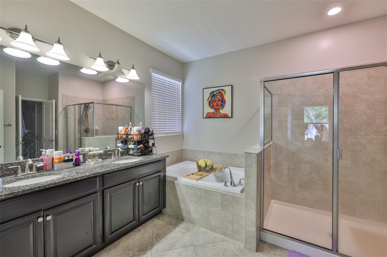 11915 TWILIGHT DARNER PL, RIVERVIEW, FL, 33569