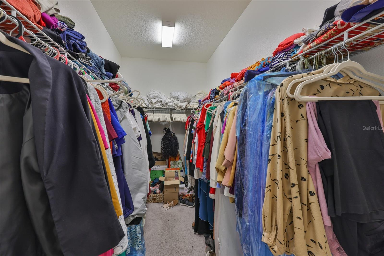 11915 TWILIGHT DARNER PL, RIVERVIEW, FL, 33569