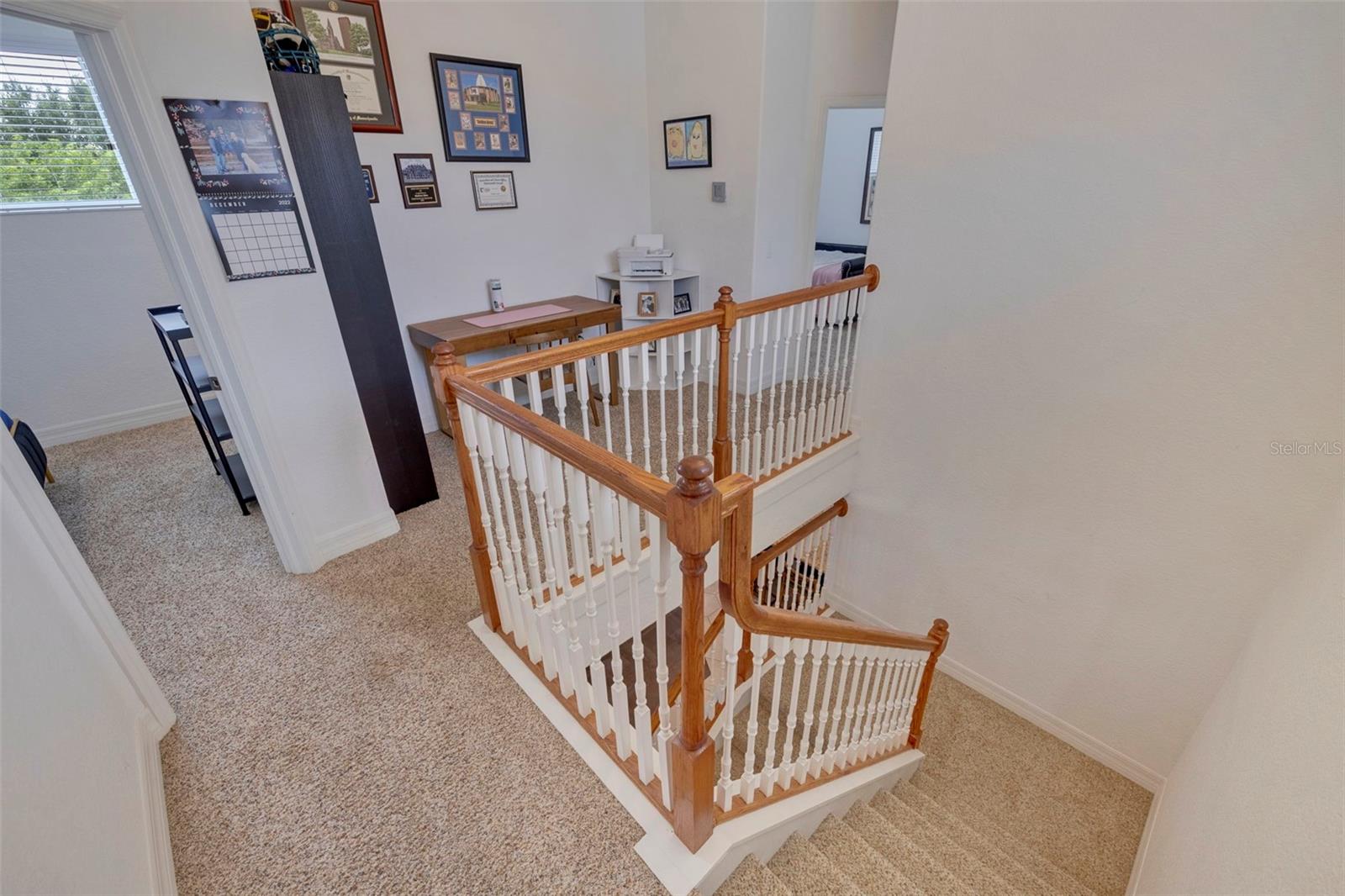 205 BENGAL CIR, OLDSMAR, FL, 34677