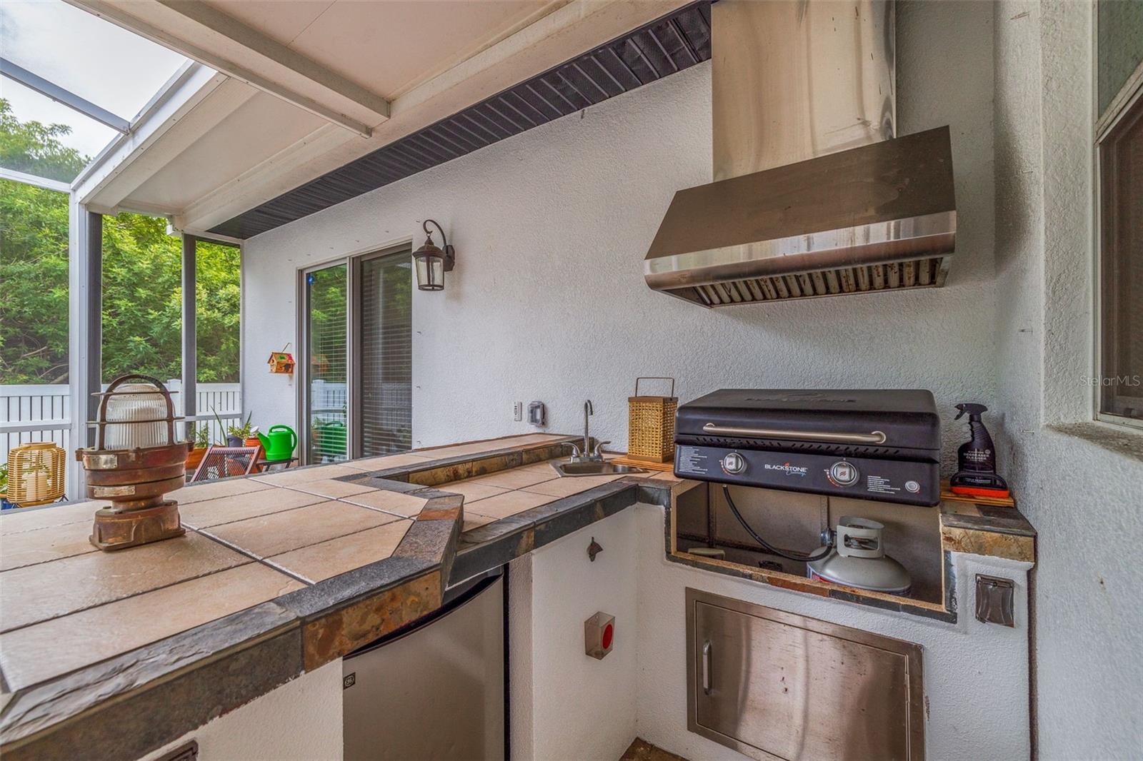 205 BENGAL CIR, OLDSMAR, FL, 34677