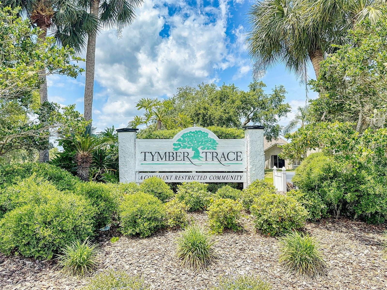 686 MIDDLEBURY LOOP, NEW SMYRNA BEACH, FL, 32168